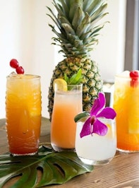 1639041940_tikidrinks-2-e1540930299733.jpg