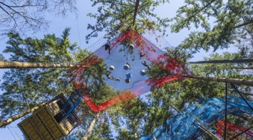 Treetop Nets from Zip World in Snowdonia Book a Party